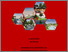 [thumbnail of Cover]
