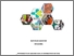 [thumbnail of B021201081_skripsi_15-01-2025 cover1.jpg]