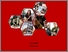 [thumbnail of E021211056_skripsi_31-12-2024 cover1.jpg]