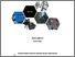 [thumbnail of Cover]