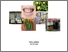 [thumbnail of J011211063_skripsi_22-01-2025 cover1.jpg]