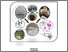 [thumbnail of L012221009_tesis_16-10-2024 cover1.jpg]