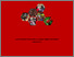 [thumbnail of Cover]