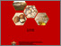 [thumbnail of Cover]