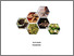 [thumbnail of Cover]