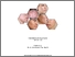 [thumbnail of cover]
