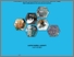 [thumbnail of Cover]