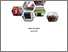 [thumbnail of Cover]