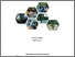 [thumbnail of Cover]