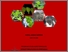 [thumbnail of Cover]