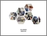 [thumbnail of Cover]