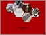 [thumbnail of Cover]