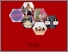 [thumbnail of Cover]