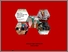 [thumbnail of Cover]