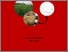 [thumbnail of Cover]
