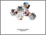 [thumbnail of Cover]