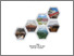 [thumbnail of Cover]