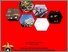 [thumbnail of Cover]