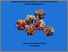 [thumbnail of Cover]
