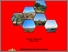 [thumbnail of Cover]