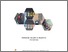 [thumbnail of Sampul]