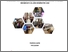 [thumbnail of Cover]