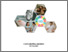 [thumbnail of COVER]