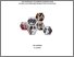 [thumbnail of Cover]