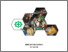 [thumbnail of COVER]