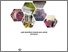 [thumbnail of COVER]