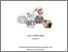 [thumbnail of COVER]