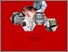 [thumbnail of COVER]