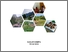 [thumbnail of COVER]
