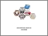 [thumbnail of COVER]