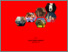 [thumbnail of Cover]