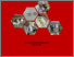 [thumbnail of COVER]