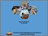 [thumbnail of COVER]