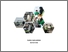 [thumbnail of COVER]
