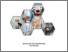 [thumbnail of COVER]