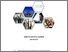 [thumbnail of COVER]