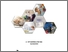 [thumbnail of cover]