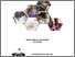 [thumbnail of cover]