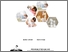 [thumbnail of COVER]