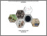 [thumbnail of COVER]