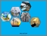 [thumbnail of Cover]